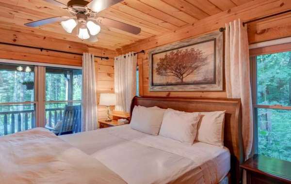 Cabins in Sugar Mountain NC: Experience Nature's Beauty